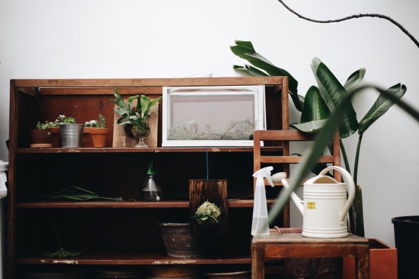 他将厦门的民宅改造成烘焙馆，每周邀请100位陌生人喝精品咖啡