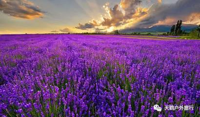 几月份去新疆飞机票最便宜,6月份哪里进疆机票优惠