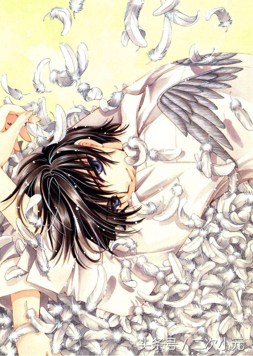 clampx战记幻城,clamp漫画x战记