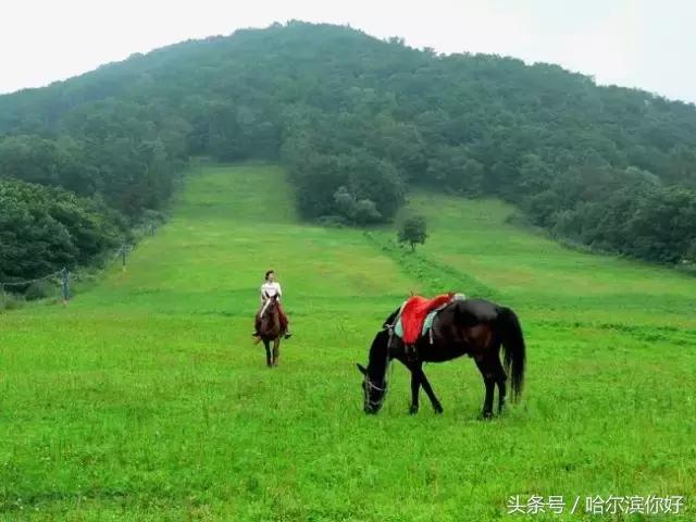 阿城有希望吗,阿城未来的发展