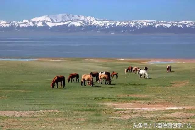 2万5千公里｜跨越半个中国，我们在路上等你