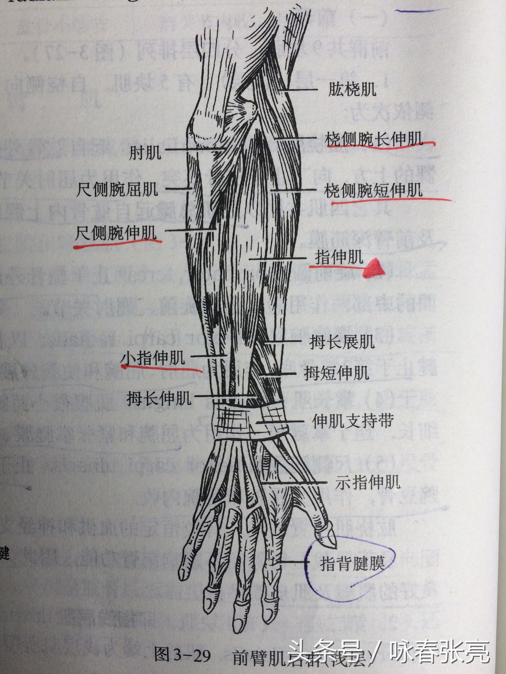 如何修炼咏春拳内劲,咏春拳的杀伤力在哪