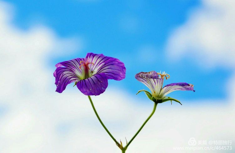 走过四季夏天最美,走过春夏美丽的秋冬