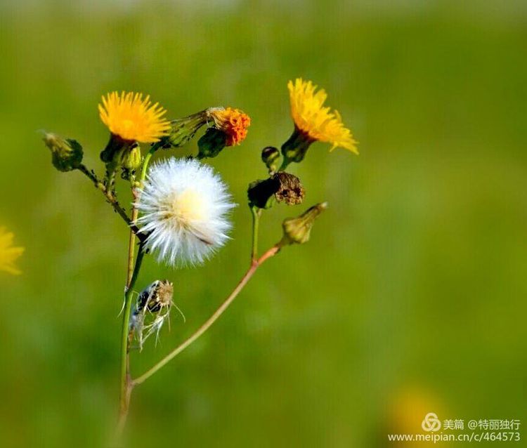 走过四季夏天最美,走过春夏美丽的秋冬