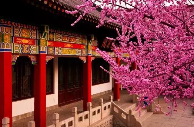 天津值得游玩门票便宜的景点,天津旅游攻略必去景点门票多少钱