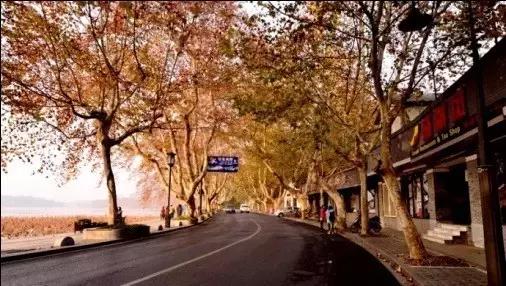 杭州为什么可以大规模拍地,杭州大规模拍地