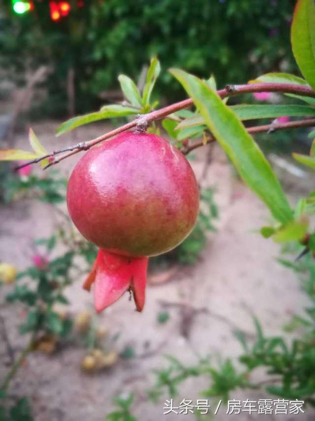 台山海边沙滩推荐珍珠湾,台山海滩推荐