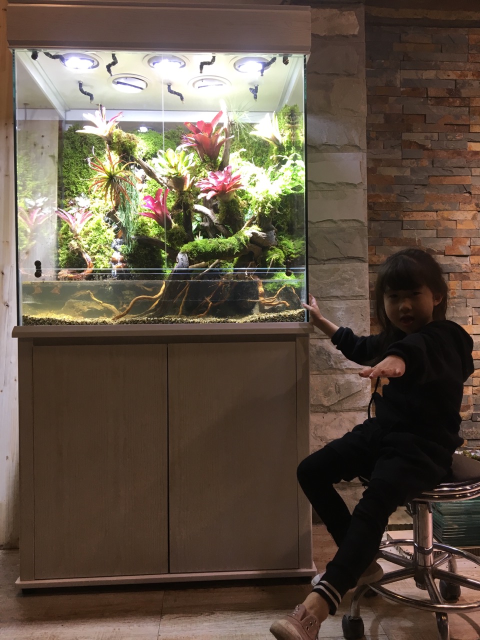 水族店转型,水族生意经营模式