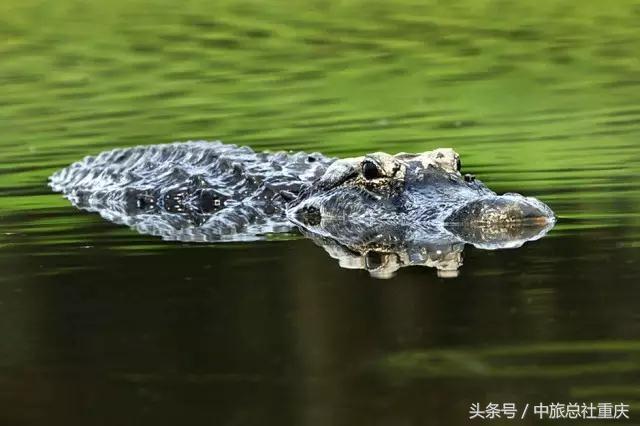 宿务旅游跟团七日游,宿务旅行攻略