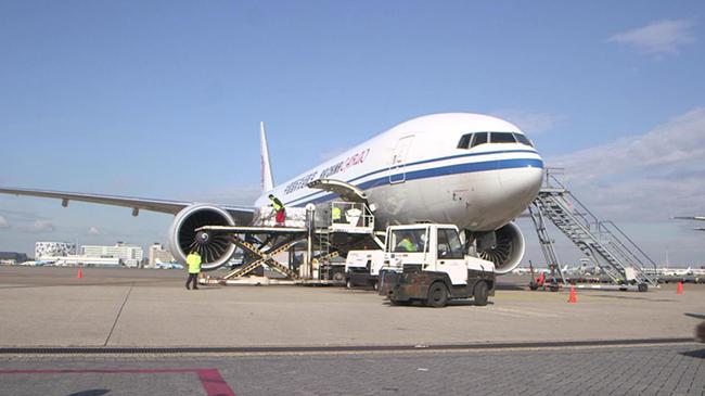 怎么鉴别海淘产品的真伪,海淘快递造假