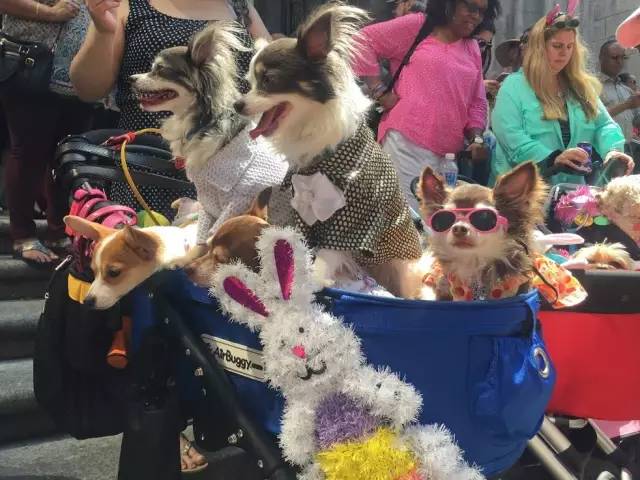 戛纳网红,戛纳的网红们