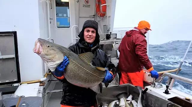 澳洲三种特别好吃的鱼,除了北冰洋还有什么洋