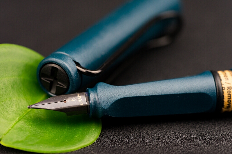 燃起你的热情,lamysafari