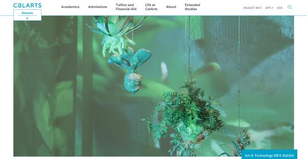 美国有哪些好的大学,美国美术