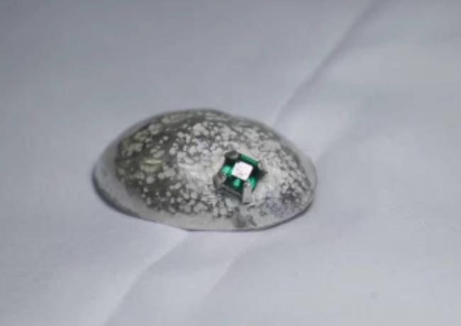 北京工业大学事件,北京工业大学研究生事件