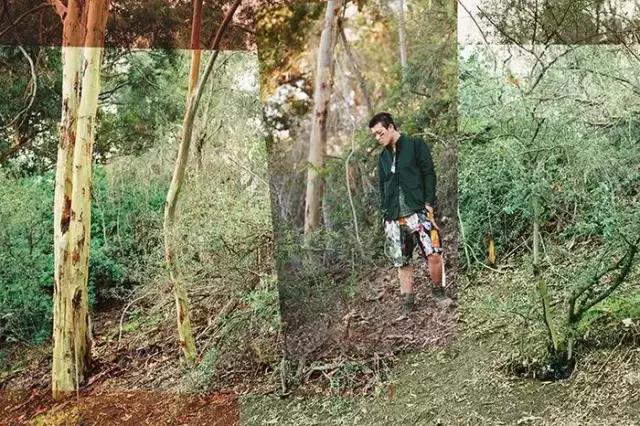 clot2018荆棘,clot2019荆棘