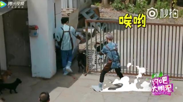 乔欣解释,乔欣失恋语录