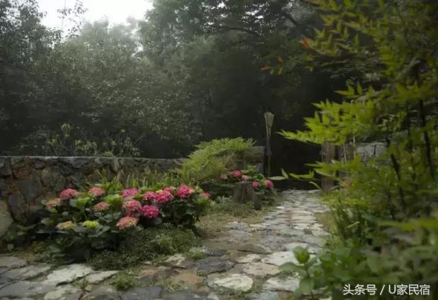 给我一方厨房，还你一桌菜肴