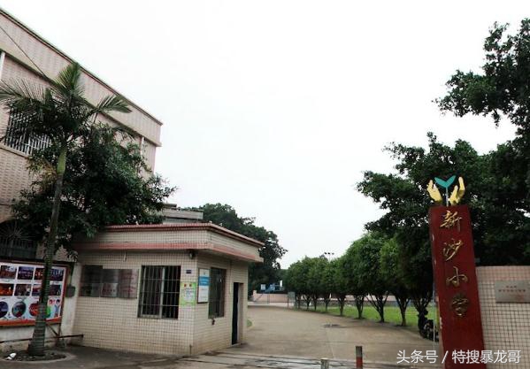 黄圃镇最好的小学,黄圃镇哪几个小学最好