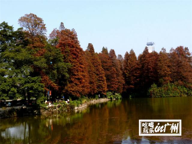 广州最新最美最好玩的景点,广州最值得去玩的景点推荐一下