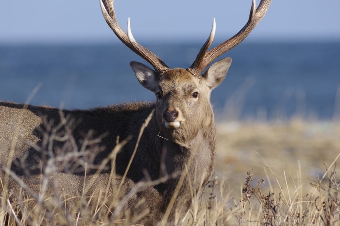 终于等到你完整版免费观看,终于等到你摄影作品