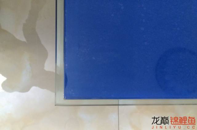 地缸推荐,家里可以搞个多大的地缸