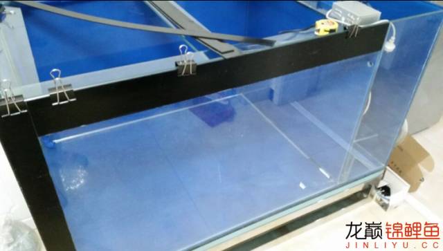 地缸推荐,家里可以搞个多大的地缸