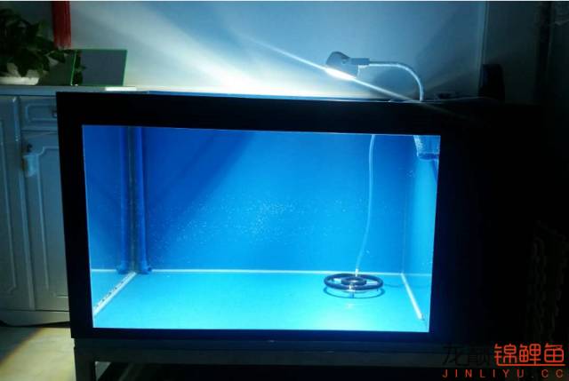 地缸推荐,家里可以搞个多大的地缸