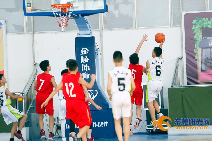 东莞市小学篮球赛2021,2020年东莞市小学篮球锦标赛