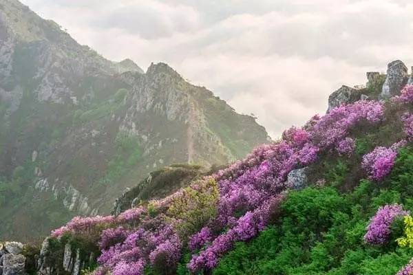 就在明天，这些地方免费！你去不去？