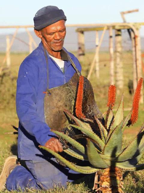 晒后修复稳定保湿的护肤品,补水退红最有效的产品