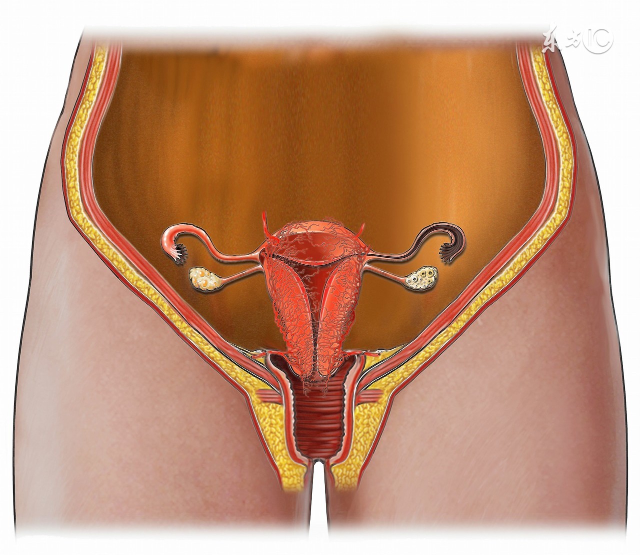 柠檬水养生,柠檬水怎么喝效果最好