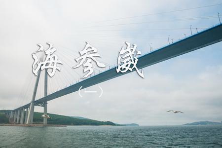 这里是俄罗斯的符拉迪沃斯托克，海参崴只是个历史名词