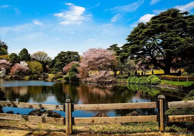 东京超全亲子攻略,东京好玩吗值得去吗