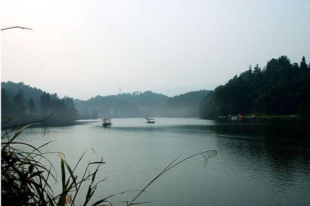 插秧端午节,包粽子赛龙舟端午节