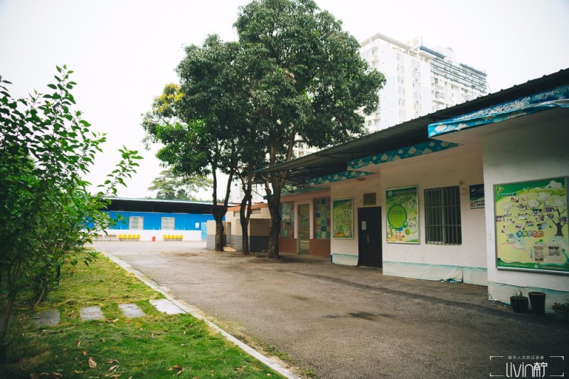 南宁青少年宫老照片,南宁市西乡塘区少年宫