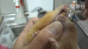 足坛那些燃爆全场的凌空抽射,足坛上不可思议的凌空抽射