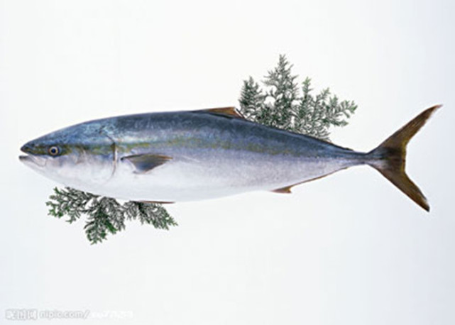 孕妇吃鱼虾孩子聪明吗,孕妇吃鱼籽小孩会笨吗