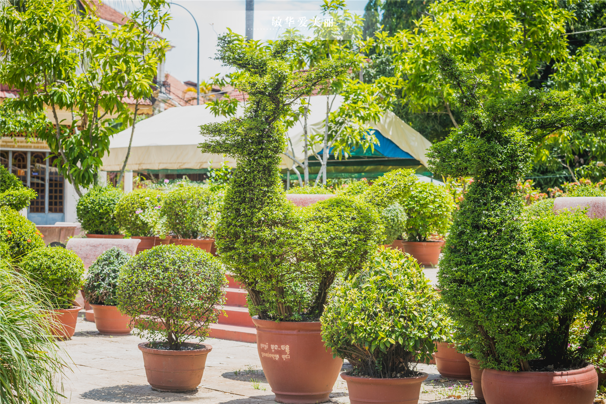 柬埔寨最厉害的寺庙叫什么,柬埔寨最灵的寺庙