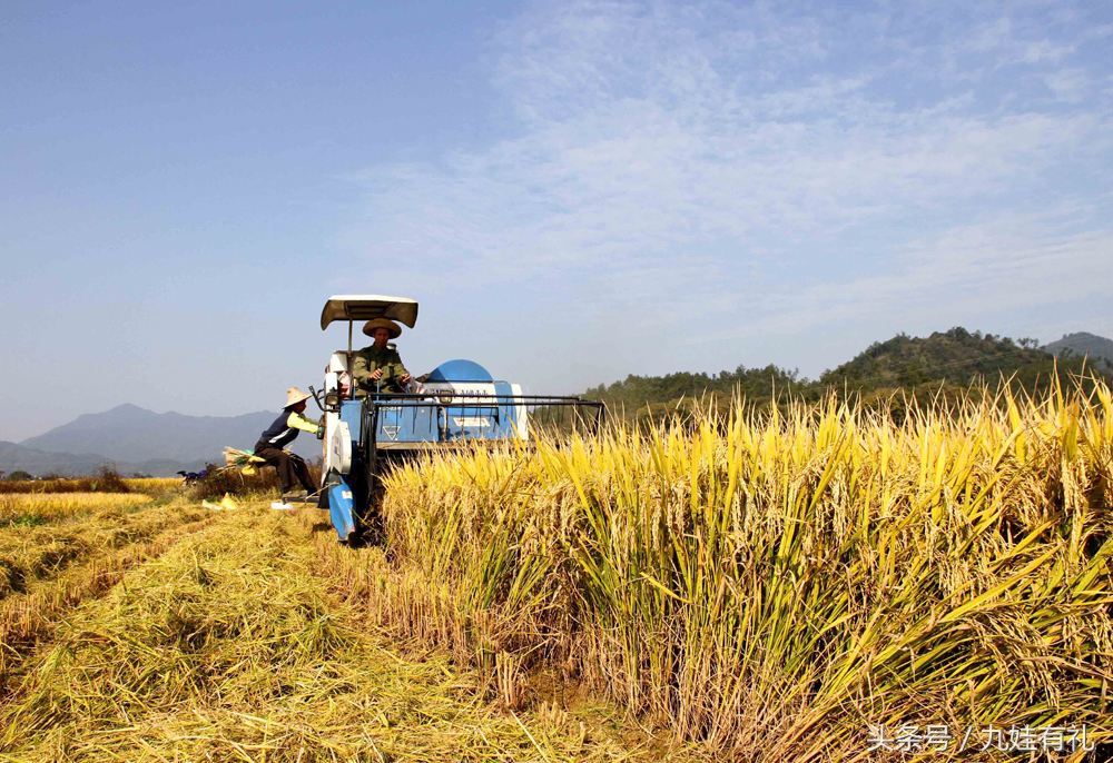 人活脸树活皮好不好,人活眉眼树活皮类似格言