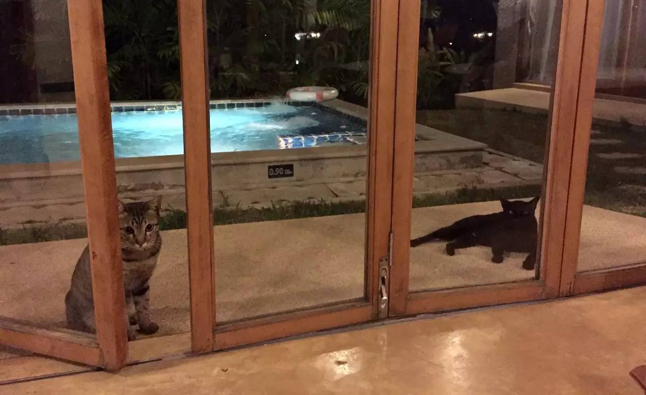 女性去泰国旅游的感受,泰国女孩异国历险