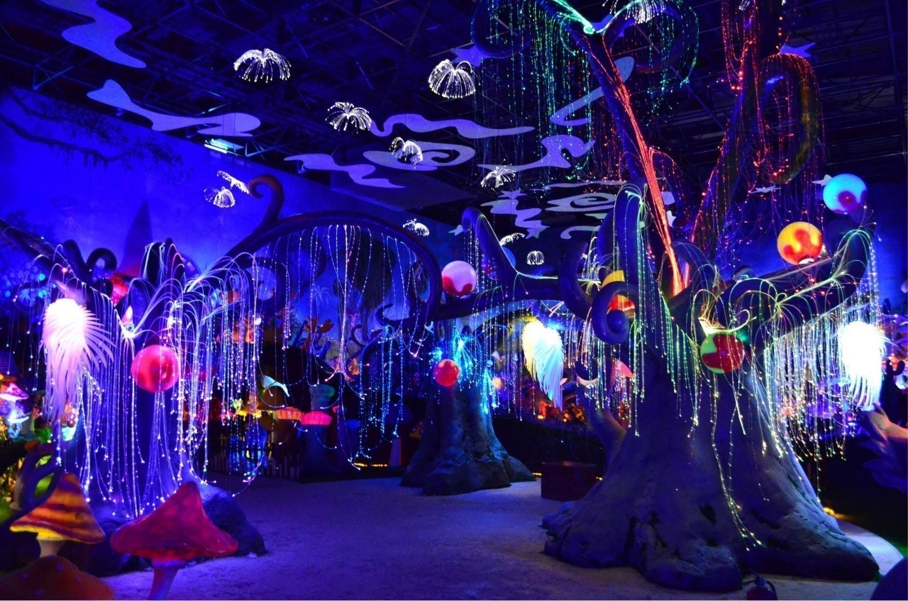 51假期带孩子去迪士尼乐园玩,比迪士尼更好玩的地方是哪里