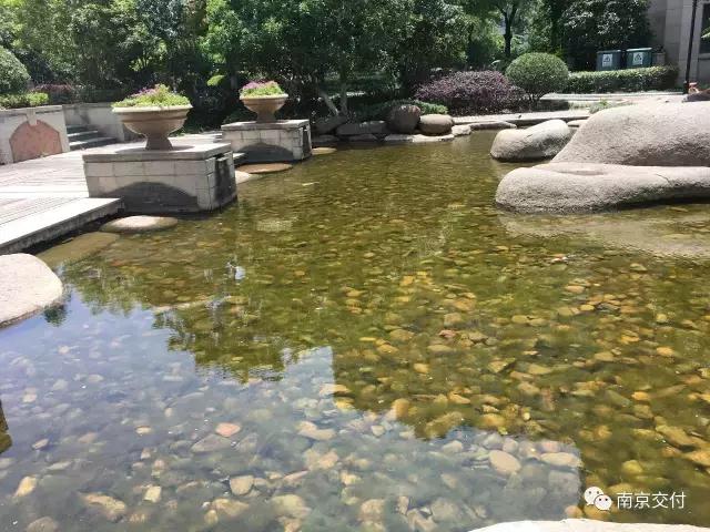 板桥小区怎么样啊,板桥比较好的新小区