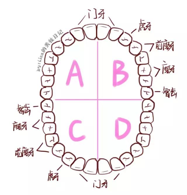 拥有一口好牙才能算的上完美，终极美白牙齿的攻略在这里！