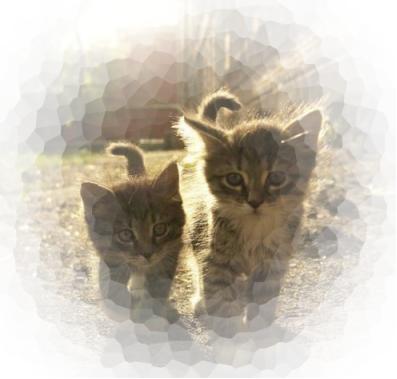 ps里蒙版怎么弄成选区,ps蒙版画笔的使用方法