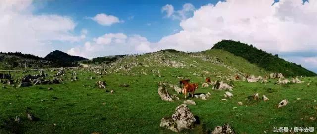 重庆晚上约会浪漫的地方,重庆打卡浪漫约会地
