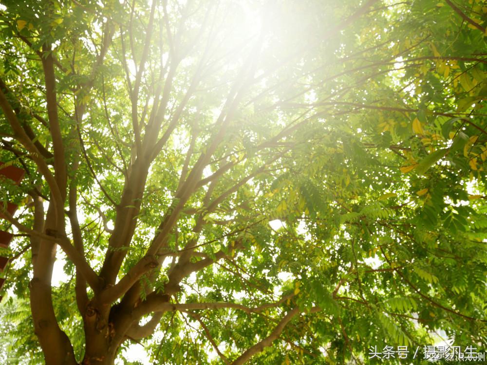 松下gf9值得入手吗,评价松下gf9拍摄视频4k效果