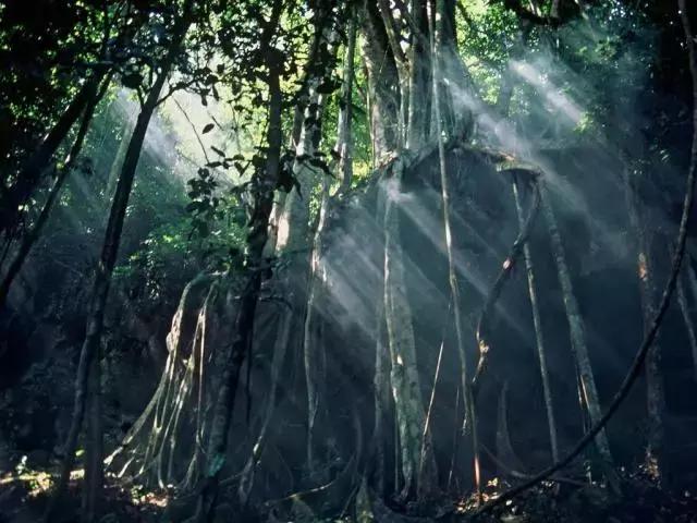 今年倒数第二天就放假了怎么回事,再坚持一天就放假了