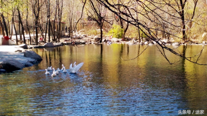 北京戏水露营钓鱼免费景点推荐,北京周边野游有山有水清凉谷
