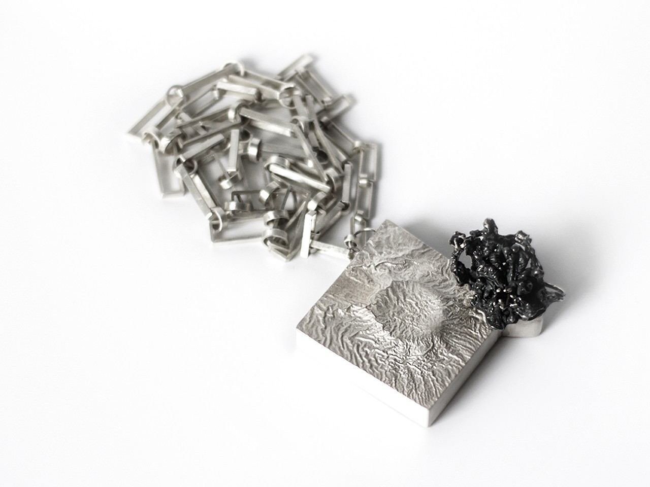 北京工业大学事件,北京工业大学研究生事件